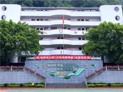 万州区枇杷坪小学